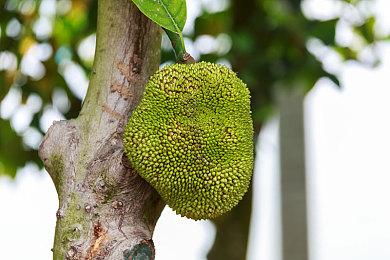 IGN编辑哀叹索尼没给《星鸣特攻》机会：本来能变好